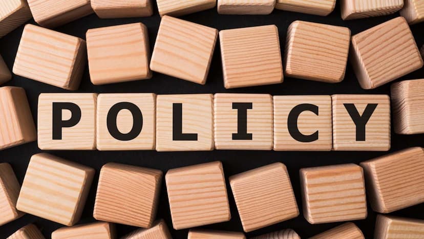 Data in Public Policy: An Indispensable Asset?
