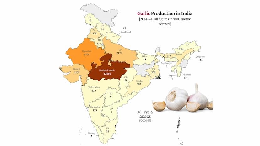 Garlic Production in India (2014-2024)