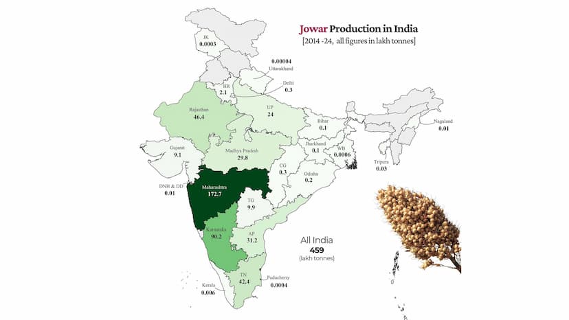 Jowar Production in India (2014-2024)